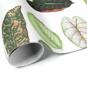 ボタニカルウォーター色ヴィンテージ緑葉色 ラッピングペーパー (ロールコーナー)