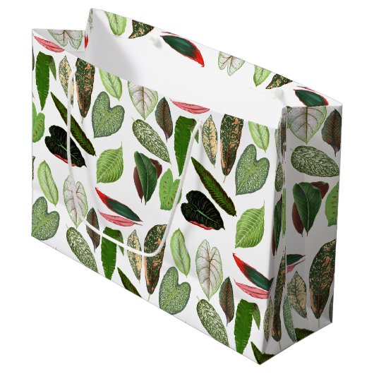 ボタニカルウォーター色ヴィンテージ緑葉色 ラージペーパーバッグ (正面アングル)