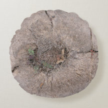 ボタニカルカットパームツリーフォト