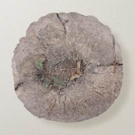 ボタニカルカットパームツリーフォト ラウンドクッション
