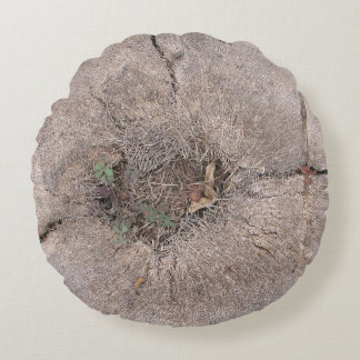 ボタニカルカットパームツリーフォト ラウンドクッション