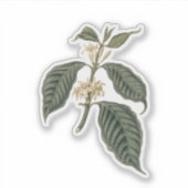 ボタニカルコーヒープラントボヘミアンエレガンスフローラ シール (正面)