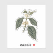 ボタニカルコーヒープラントボヘミアンエレガンスフローラ シール (シート)