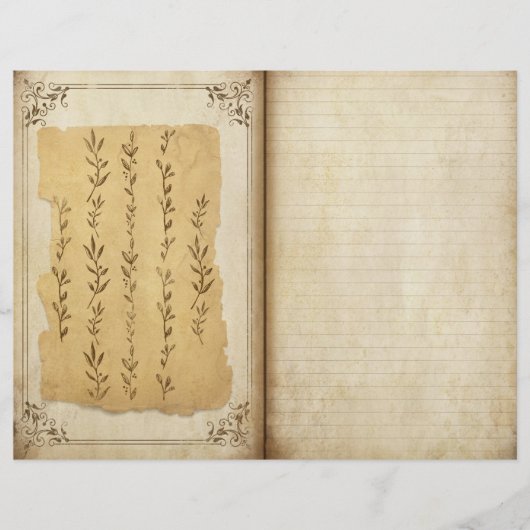 ボタニカルジャビクトリアンーナルページスクラップブック紙 (正面)