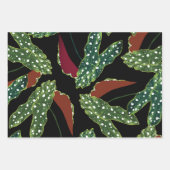 ボタニカルスポッ離れトアベゴニア紙Sh ラッピングペーパーシート (正面2)