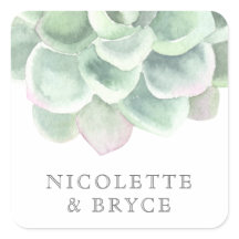 ボタニカルセージ緑の水の色の多肉性結婚の