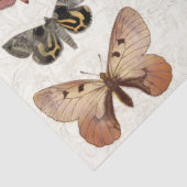 ボタニカルバタフライコテージコアヴィンテージデクページ 薄葉紙 (詳細)