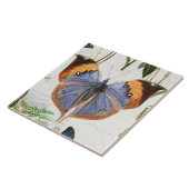 ボタニカルバタフライフラワーガーデンフローラヴィンテージ5 タイル (側面)