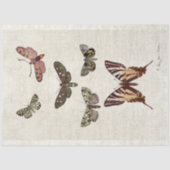 ボタニカルバタフライヴィンテージピーチモースデコパージュ 薄葉紙 (正面)