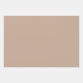 ボタニカルパターンウォームベージュ – ラッピング紙セット ラッピングペーパーシート (正面3)