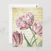 ボタニカルピンク&ホワイトチューリップイラストレーション ポストカード (正面/裏面)