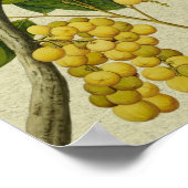 ボタニカルプリントランゾーン ポスター (角)