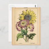 ボタニカルプリント – サンフラワー&マリゴールド ポストカード (正面/裏面)