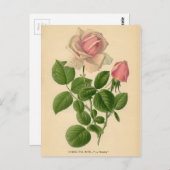 ボタニカルプリント – ティーバラ ポストカード (正面/裏面)