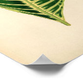 ボタニカルプリント – トロピカルリーフ ポスター (角)