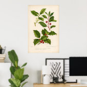 ボタニカルプリント – マウンテン&アメリカンホリー ポスター (ホームオフィス)