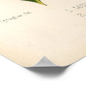 ボタニカルプリント – マウンテン&アメリカンホリー ポスター (角)