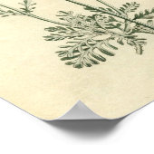 ボタニカルプリント – ラベンダー ポスター (角)