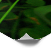 ボタニカルベラドンナピンクリリーフローラプリント ポスター (角)