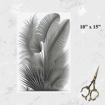 ボタニカルホワイトブラックラインスケッチスモール