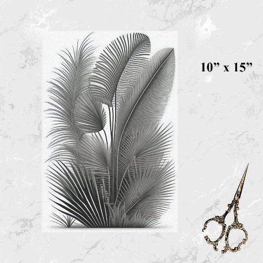 ボタニカルホワイトブラックラインスケッチスモール 薄葉紙