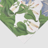 ボタニカルモーニンググローリーフラワーフローラティッシュペーパー 薄葉紙 (詳細)