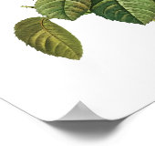 ボタニカルローザムカフォリアゴリアレドゥテ ポスター (角)