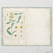 ボタニカルワイルドフラワージャンクジャーナルページの前/後 (正面)