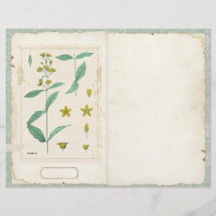 ボタニカルワイルドフラワージャンクジャーナルページの前/後