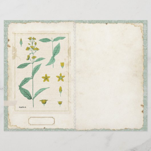 ボタニカルワイルドフラワージャンクジャーナルページの前/後 (正面)