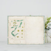 ボタニカルワイルドフラワージャンクジャーナルページの前/後 (スタンド正面)