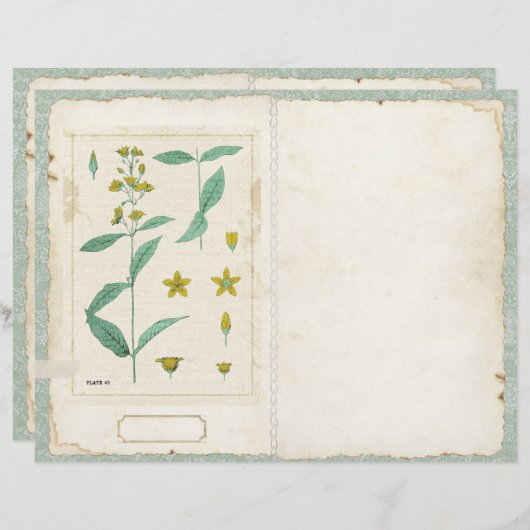 ボタニカルワイルドフラワージャンクジャーナルページの前/後 (正面/裏面)