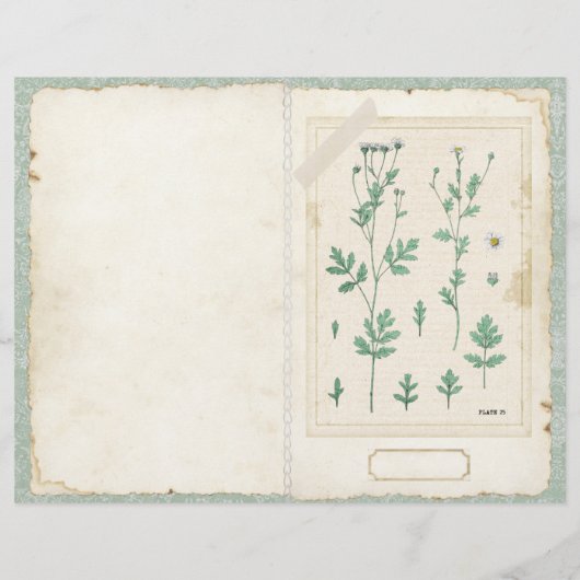 ボタニカルワイルドフラワージャンクジャーナルページの前/後 (裏面)