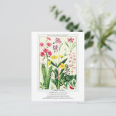 ボタニカルヴィンテージロッキーマウンテンワイルドフラワー ポストカード (スタンド正面)