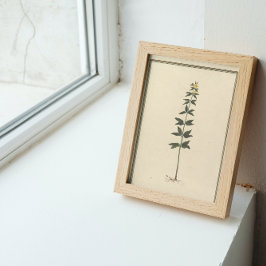 ボタニカル勉強デカッペ紙 薄葉紙