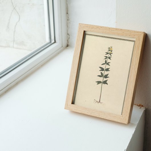 ボタニカル勉強デカッペ紙 薄葉紙