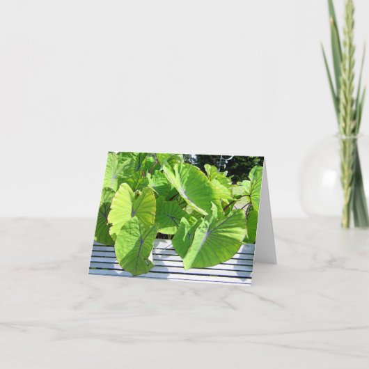 ボタニカル離れノートカード カード (正面)