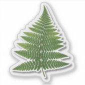 ボタニカル シダ 葉っぱ ステッカー - 自然の緑の植物 シール (正面)