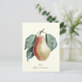 ボタニッエレガントクヴィンテージ梨フルーツ ポストカード (スタンド正面)