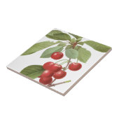 ボタニックレッドさくらんぼ タイル (側面)