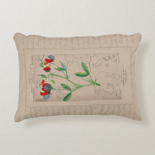 ボタニッフランスのクイラストレーションスイートピー アクセントクッション (正面)