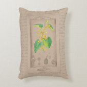 ボタニッフランスのクイラストレーション アクセントクッション (正面(垂直))