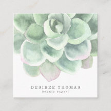 ボタニッモダンセージ緑の多肉性エレガント植物