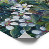 ボタニッ王室のクバイマリアンヌノース ポスター (角)