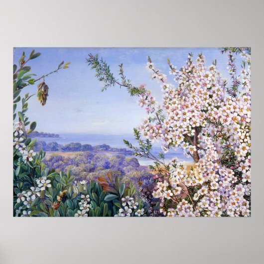 ボタニッ王室のクバイマリアンヌノース ポスター (正面)