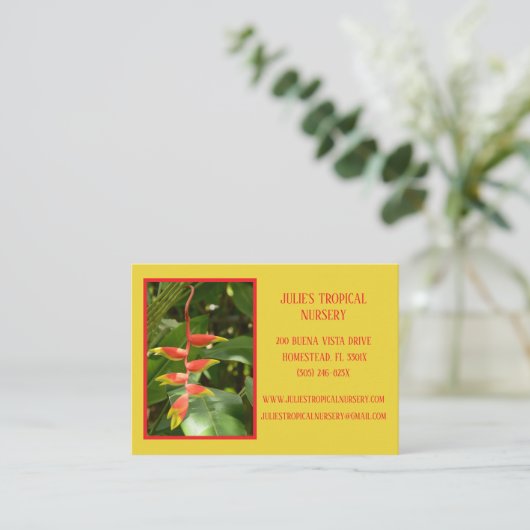 ボタニーグリーン植物子供部屋熱帯植物 名刺 (スタンド正面)