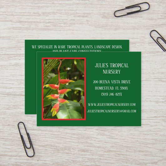 ボタニーグリーン植物子供部屋熱帯植物 名刺 (正面/裏面インサイチュ)