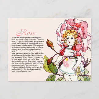 ボタニーコレクターヴィンテージバラガールプラント情報 ポストカード