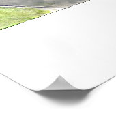 ボタニー池 ポスター (角)