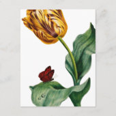 ボタモダンカルチューリップ結婚ズスイート詳細 エンクロージャーカード (裏面)